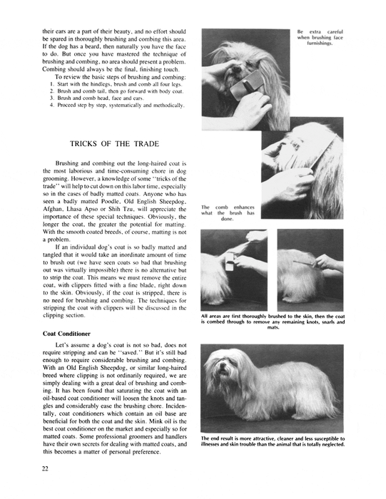 The Stone Guide to Dog Grooming For All Breeds