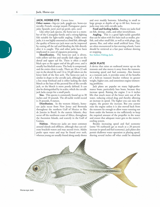 Ken Schultz's Fishing Encyclopedia Volume 4: Worldwide Angling Guide (Ken Schultz's Fishing Encyclopedia, 4)